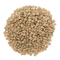 ราคา ถั่วเลนทิล สีน้ำตาล 1 กิโลกรัม Brown Lentils 1kg (20541755956)