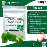 ราคา ใบบัวบกผง 100 แคปซูล สมุนไพร100 (17830834459)