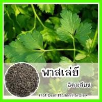 ราคา พร้อมส่ง รหัส 056 เมล็ดพันธุ์แท้ OP แท้ พาสเลย์อิตาเลียน ปลูกง่าย มีกลิ่นหอม ใช้ทำอาหาร Flat Leaf Italian Parsley (7157030930)
