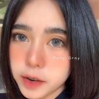 ราคา Bigeye Pony Pola brown คอนแทคเลนส์ โพนี่ โพล่า สีนำ้ตาล สายตาปกติ (20124756050)