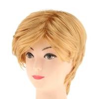 ราคา Ali88 Storeผู้ชายวิกผมทองสั้นสังเคราะห์สีบลอนด์วิกผมคอสเพลย์โดนัลด์ทรัมป์ชุดแฟนซีวิกผม (15771256664)
