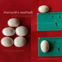 ราคา งาช้างของแท้100 หัวแหวน ลายงาชัด สวยๆ (20710310250)