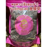 ราคา พลูคาว ฮือชอเช่า Yuxingcao 鱼腥草 พลูคาว พลูคาวแห้ง ผักคาวทอง คาวตอง ผักคาวตองหื่อเซ็งเช่า ฮือชอเช่า ฮือแชเช่า บรรจุ100กรัมราคา40บาท (18951953462)