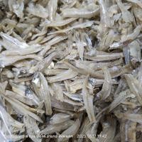 ราคา ปลากะตักแห้ง เนื้อปลาขาวกะตักแห้งเค็มน้อยแบบแกะ2ซีก 1กิโลกรัม220บาท (14155032050)