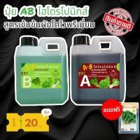 ราคา ธาตุอาหารพืช ปุ๋ยไฮโดรโปนิกส์ ได้ทั้ง A และ B ปุ๋ย AB ปุ๋ยน้ำ สูตรเพิ่มธาตุเหล็ก สำหรับปลูกผักไร้ดิน ผักสลัด ผักไทย ผักจีน New แถมฟรีเมล็ด (18164884566)