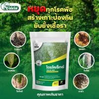 ราคา ไตรโคเดอร์มา รักษาโรคพืชทุกชนิด ปลอดภัยไม่ผสมสารเคมี 500 กรัม (18519826571)