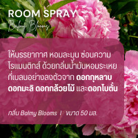 ราคา Auriza Room Spray 50 ml (20723770242)