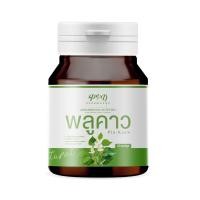 ราคา พลูคาว ตราพีดี เฮิร์บ ภูมิแพ้ พลูคาว แคปซูล (20618305010)