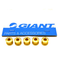 ราคา น็อตใบจานจักรยาน GIANT รุ่น สำหรับใบจานชั้นเดียว (7381226900)