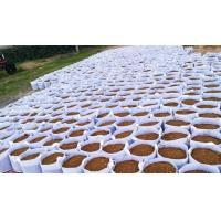 ราคา กระถางผ้าปลูกผัก กระถางผ้า 5 7 8 9 10 gallon กระสอบปลูกเมล่อน กระสอบปลูกแตงโม ถุงผ้าปลูกพืช กระถางผ้าปลูกกัญ ถุงผ้าปลูกกัญชา ถุงผ้าปลูกพืช (15749623014)