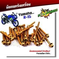 ราคา น็อตแคร้งเครื่อง YAMAHA R15 1ชุด23ตัว ซ้าย ขวา เลสแท้100 น็อตแคร้งR15 น็อตแคร้งyamaha r15 น็อตแคร้งเครื่องr15 น๊อตแคร้งr15 น็อตชุดแคร้งr15 น็อตชุด (2271522700)