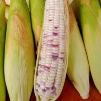 ราคา เมล็ดพันธุ์ ข้าวโพดข้าวเหนียวเทียน ข้าวโพดข้าวเหนียวหวาน 2 สี ม่วงขาว 10 แถม 1 คละได้ (20783362542)