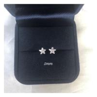 ราคา ต่างหูเงินแท้92 5 เพชรczรูปดาว (17698299541)