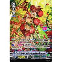 ราคา ฟอยสุ่ม V TD12 แวนการ์ด เนโอ เนคต้า ราคาต่อ 1 ใบ (19840615649)