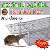 ราคา กับดักหนู กรงดักหนู ที่ดักหนู วิธีกำจัดหนู ดักหนู ไล่หนู กำจัดหนู ที่ไล่หนู อุปกรณ์ไล่หนู กับดัก เหยื่อดักหนู วิธีกำจัดหนูในบ้าน ไล่หนูในบ้าน กำดักหนูนา วิธีไล่หนูบนฝ้า กับดักหนู รุ่น MT 022 (92320851