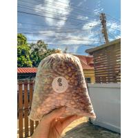 ราคา ถั่วซ่อนลายจังหวัดแม่ฮ่องสอน1Kg (6515006482)