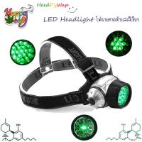 ราคา ไฟฉายคาดหัว ไฟฉาย FLASHLIGHT HEAD TORCH 19 X GREEN LED HIGH INTENSITY ไฟฉาย LED ความเข้มสูงสีเขียว Hydroponics (17823862107)
