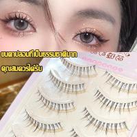 ราคา ANJOSIRMA พร้อมส่ง ขนตาปลอมแบบเซท แบบช่อขนตา นิ่ม ขนตาธรรมชาติ ขนตาปลอมสไตล์ธรรมชาติ Little devil ขนตาปลอม ชุดต่อขนตา ขนตาปลอมช่อ (20468309742)