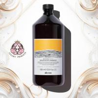 ราคา แชมพู Davines Naturaltech Nourishing Shampoo 1000ml (20743128674)