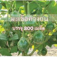 ราคา เมล็ดพันธุ์ มะเขือเปราะลายคางกบ 200 เมล็ด (15519999649)