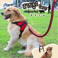 ราคา สายรัดอก เฉพาะสายรัดอก จูงสุนัข สายจูงหมา จูงสัตว์เลี้ยง พันธุ์กลาง ใหญ่ (21157936949)