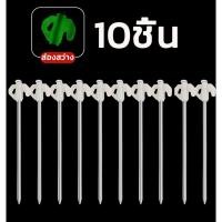 ราคา สมอบกเต้นท์ ขนาด 20 x 0 6 cm สมอบกเรืองแสง สมอบกเต็นท์ สมอบกเต้นท์เรืองแสง ชุดสมอบก สมอบกเชือกเต็นท์ (20904149200)