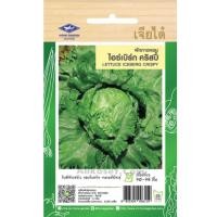 ราคา เมล็ดพันธุ์ ไอซ์เบิร์ก คริสปี้ ตราเจียไต๋ (20682188311)