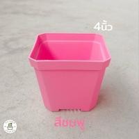 ราคา กระถางพาสเทล กระถางต้นไม้ กระถางแคคตัส ทรงสี่เหลี่ยม สีขาว ใส ฟ้า ชมพู เหลือง 3นิ้ว 4นิ้ว (17433209802)