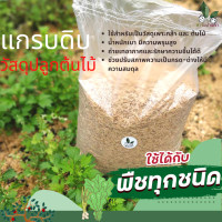 ราคา แกลบ แกลบดิบ แกบ เปลือกข้าว วัสดุปลูกต้นไม้ วัสดุปลูก ช่วยปรับสภาพความเป็นกรด ด่าง รักษาความชื้น วัสดุเพาะปลูกต้นไม้ ชั้นเยี่ยม (5943518908)