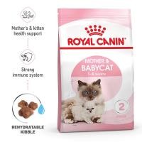 ราคา Royal Canin Starter Mother Baby Cat 2 kg อาหารแม่แมวตั้งท้อง ให้นม และ ลูกแมวอายุต่ำกว่า 4 เดือน Dry Cat Food โรยัล คานิน (21126509969)