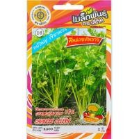 ราคา เมล็ดพันธุ์ คื่นฉ่ายต้นขาว ตราสี่ทิศ (20710765054)