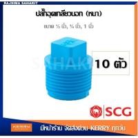 ราคา ชุด 10 ตัว ปลั๊กอุดเกลียวนอก 1 2 4หุน 3 4 6หุน 1 พีวีซี ตราช้าง เอสซีจี SCG Valve Plug PVC 10PCS Set (12342864927)