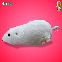ราคา ของเล่นแมว หนูไขลาน ของเล่นสัตว์เลี้ยง ของเล่นไขลาน hometownsellercenter (8167845556)