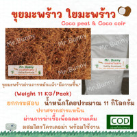 ราคา ผ่านการหมักแล้ว ยกกระสอบ ขุยมะพร้าว ใยมะพร้าว Coco peat Coco coir 11 กิโลกรัม (3165146441)