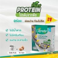 ราคา Xongdur เครื่องดื่ม Plant Based โปรตีนถั่วลันเตาผสมถั่ว 5 สี โกโก้เฮเซลนัท งาดำแปะก๊วย Keto Friendly มีพรีไบโอติกส์ (16628702496)