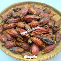 ราคา เม็ดพุดจีน เม็ดพุด ลูกพุดจีน ขนาด 15 กรัม (19138634823)