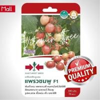 ราคา เมล็ดพันธุ์ มะเขือเทศ สีดาแพรวชมพู 200เมล็ด ตราศรแดง (19262182237)