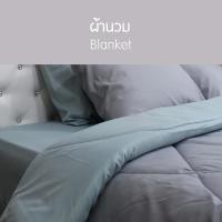 ราคา SANTA ชุด ผ้าปูที่นอน ผ้านวม ผ้าห่ม สีเทาอ่อน สีเขียว 3 5 5 6 ฟุต (5602994456)