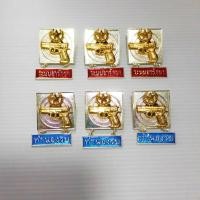 ราคา เหรียญทำนองรบ เข็มทำนองรบ ศรภ (21190023611)