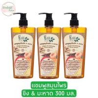ราคา แพ็ค3ขวด ชีววิถี แชมพูสมุนไพรสูตรขิงมะหาด 300 มล Bio Way Ginger Lakoocha Herbal Shampoo 300 ml (18549176786)