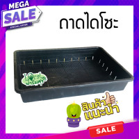 ราคา ถาดเพาะต้นอ่อน ถาดไดโซะ ถาดแคคตัส มีรู ถาดเพาะต้นกล้า กระถางแคคตัส กระบองเพชร homes (9759363676)