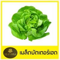 ราคา เมล็ดผักสลัด 100 เมล็ด งอกดี เมล็ดพันธุ์ผักสลัด (17320843027)