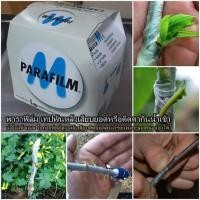 ราคา พาราฟิล์ม Parafilm M ของแท้ 1 ม้วน (10154212153)