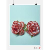 ราคา ต่างหูดอกไม้ ต่างหูทองกวาว ต่างหูหนีบ (18793161730)