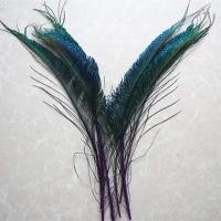 ราคา 20ชิ้น ล็อตขนนกยูงปีก12 14 งานหัตถกรรมขนนกสำหรับงานฝีมือช่างประปา Pluma ขนนกยูง (20699246790)
