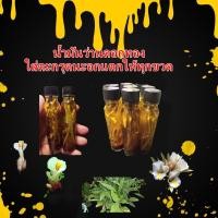 ราคา น้ำมันว่านดอกทองใส่ตะกรุดนะอกแตกให้ทุกขวด (5770096982)