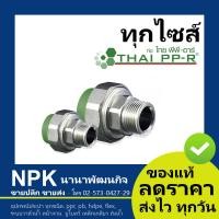 ราคา ยูเนี่ยนเกลียวนอก PPR ผ ม โลหะ พลาสติก ของแท้ ไทยพีพีอาร์ พีพีอา ท่อพีพีอาร์ Thai PPR (5880318213)