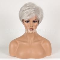 ราคา ผมสั้นสไตล์ยุโรปและอเมริกาปกหัวทำวิกสำหรับผู้หญิงสีเงินสีเทาสีขาววิกผมไฟเบอร์เคมีผมสั้นตรง (19687030660)