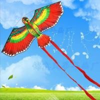 ราคา ว่าว ว่าวนกแก้ว สีสันสดใส ขนาดกลาง110ซม x40ซม ว่าวประดับบ้าน ว่าวไล่นก วิ่งว่าวกีฬาได้ แถมเชือก1มัด15เมตร (6754798825)