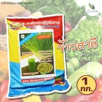 ราคา เมล็ดต้นอ่อนข้าวสาลี เมล็ดพันธุ์คุณภาพ ตราตองสาม (20960749596)